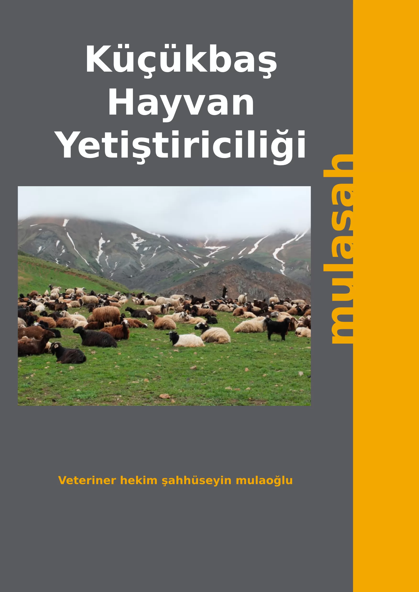 KÜÇÜKBAŞ HAYVAN YETİŞTİRİCİLİĞİ